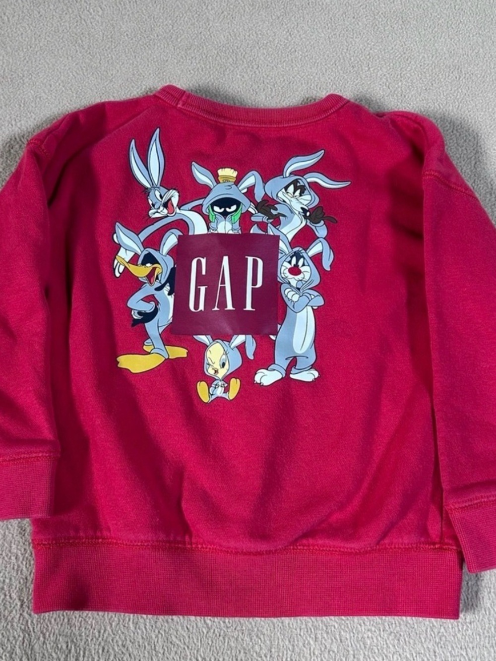 GAP Kids Red/Pink Looney Tunes Graphic Sweatshirt